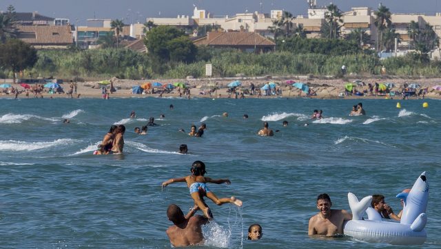 Alertan que el calentamiento extremo del mar Mediterráneo provoca la «muerte masiva» de especies marinas