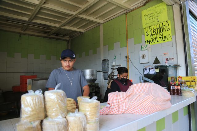 Alza de tortillas es responsabilidad de Maseca, afirma Profeco