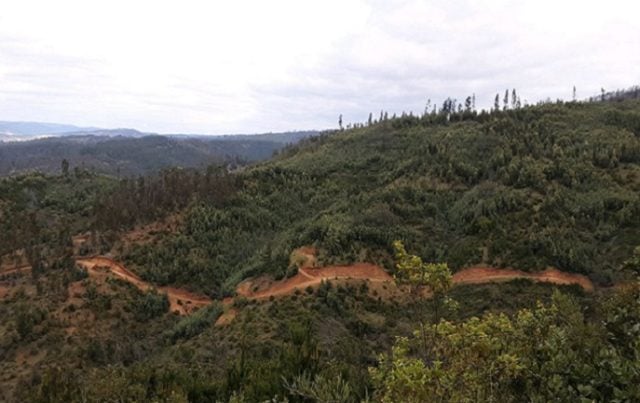 Denuncia ciudadana logra que irregular proyecto inmobiliario en Vichuquén deba someterse a evaluación ambiental