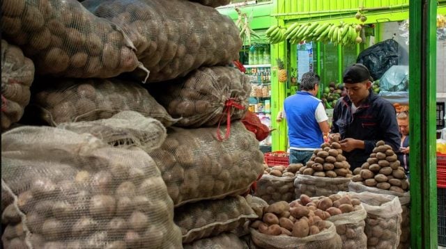 La papa podría ser la solución que Colombia necesita para sus combustibles