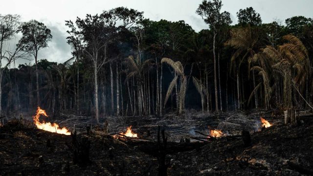 amazonía-incendios