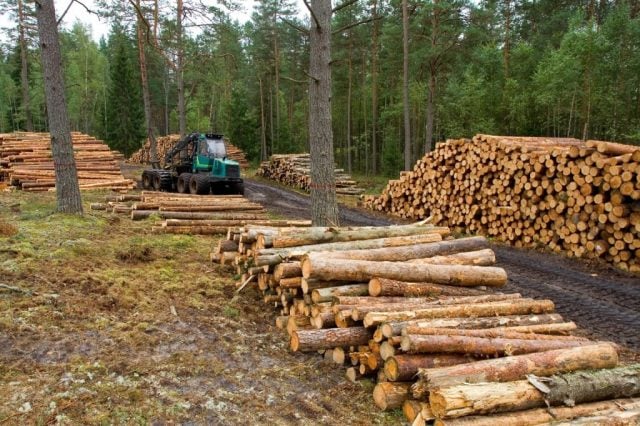 Estudio confirma acelerada tendencia en pérdida de biodiversidad en América Latina y advierte duro panorama para Chile