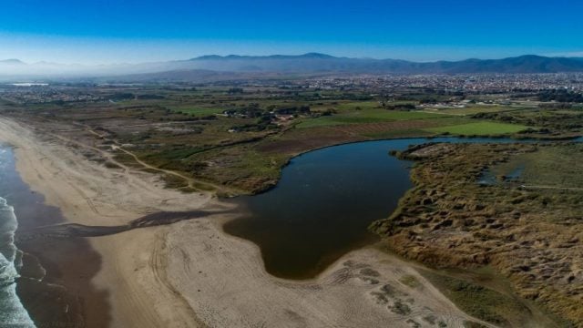 Humedal Río Elqui