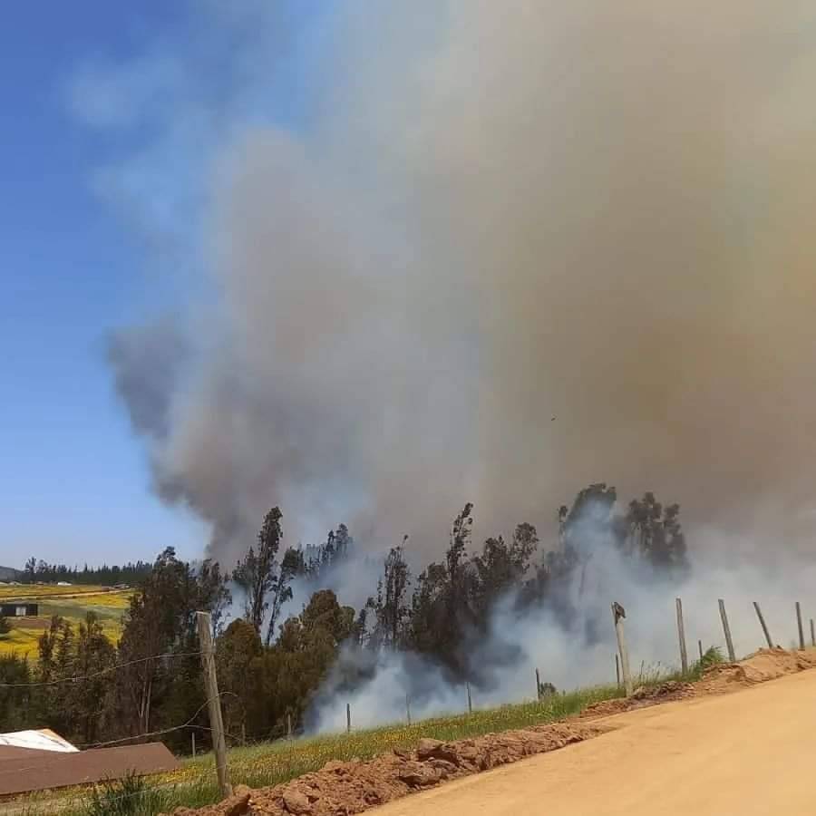 Declararon Alerta Roja En La Comuna De Paredones Por Incendio Forestal