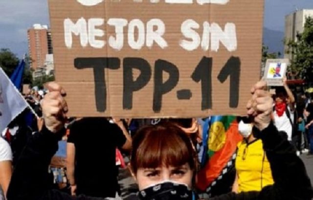 Con aprobación del TPP-11 Boric estaría incumpliendo su programa de Gobierno