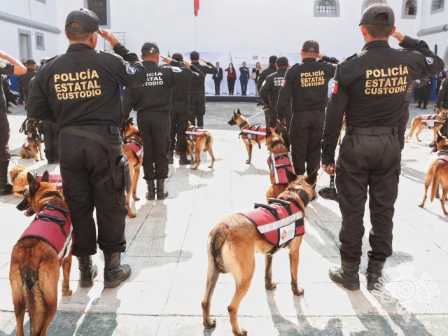 Reforzarán seguridad en cárceles con binomios caninos