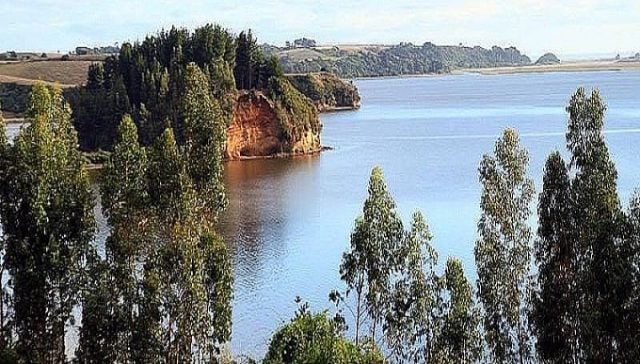 Ciencia académica y saberes ancestrales se unen para salvar el Lago Budi