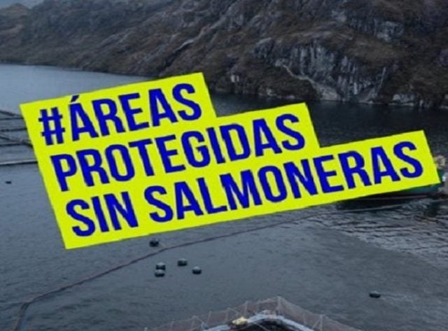 Día de las áreas protegidas: Requieren urgente que Ministerio del Medio Ambiente intervenga ante concesiones ilegales salmoneras