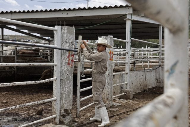 Ayuntamiento de Puebla niega concesionar rastros