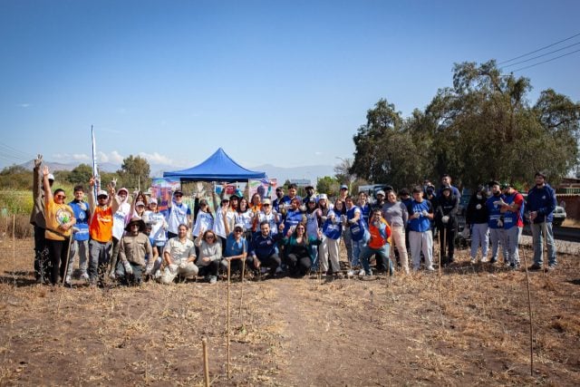 ¡Gran reforestación nativa en Tiltil! más de mil árboles serán regados con aguas grises