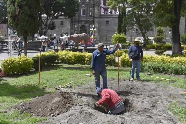 Dinero remanente de parquímetros será para arborización y cruces peatonales