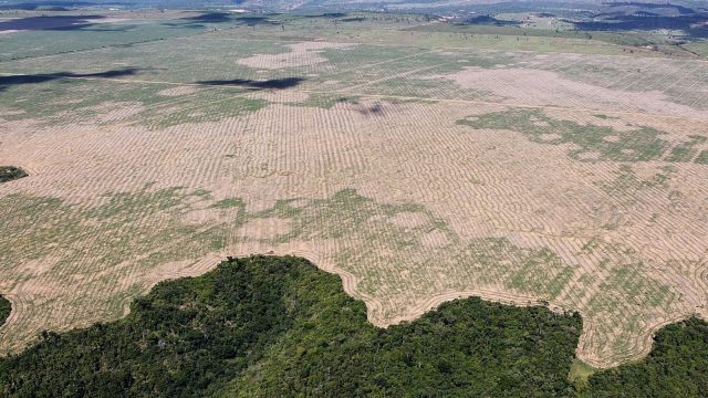 Amazonía brasileña: Los retos a superar por Lula para protegerla