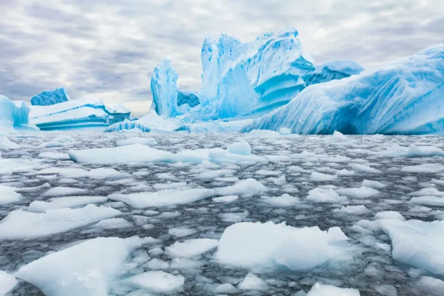 Hallan evidencia de vida microscópica debajo de los bloques de hielo de la Antártida