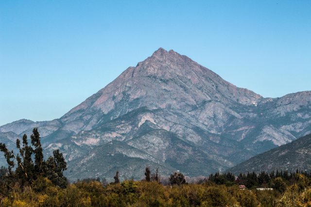 ¿Plantación de marihuana en Parque Nacional La Campana? Gobierno reconoce que hay una denuncia