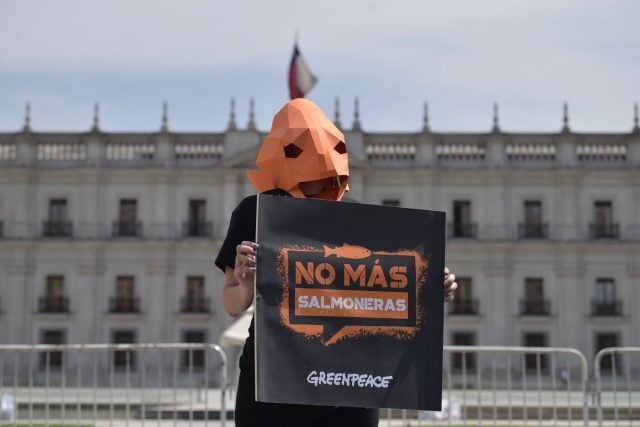 Mientras se desarrolla la COP27: Protesta frente a La Moneda pide al Gobierno frenar avance salmonero en la Patagonia