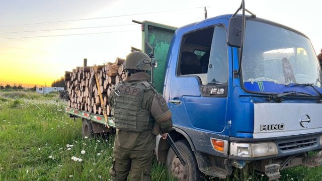 Detienen en flagrancia a tres hombres por robo de madera en la comuna de Ercilla