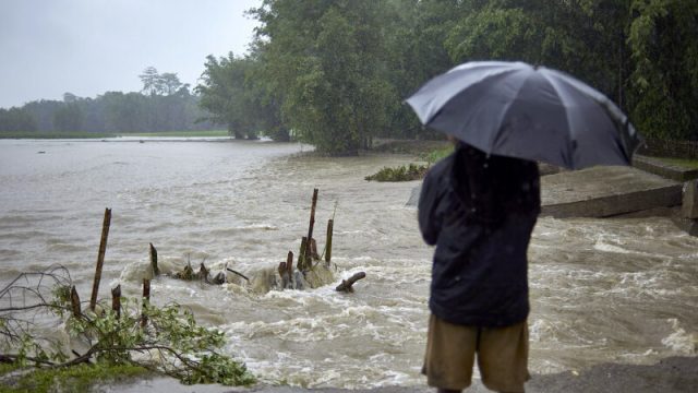 Hans-Otto Pörtner, climatólogo experto en océanos: «Los impactos del cambio climático llegaron antes y han sido más fuertes de lo que pensábamos»