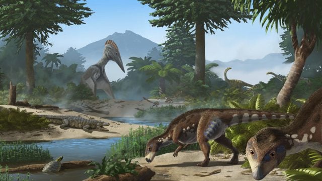 dinosaurio enano