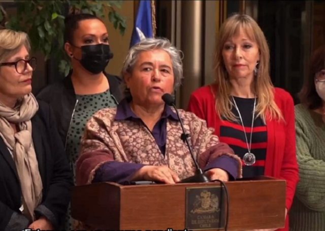 Alerta ambiental en comuna de Nacimiento: Diputada Clara Sagardía pide investigar emanación de gases desde planta celulosa CMPC