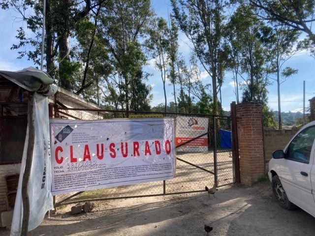 Denuncian vecinos de Flor del Bosque pérdida de áreas verdes por tala