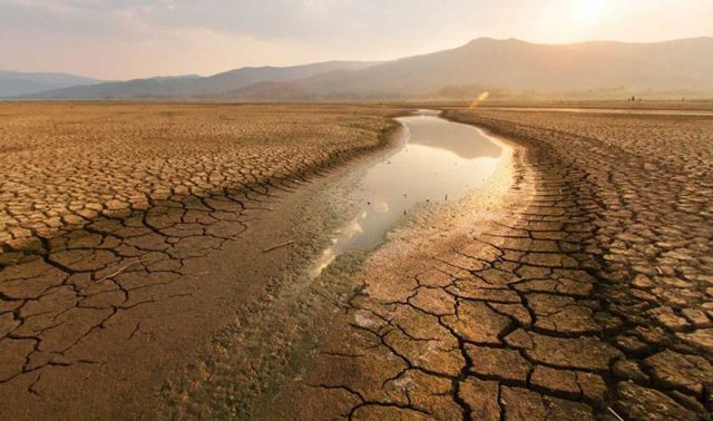 COP27-Universidad-Chile