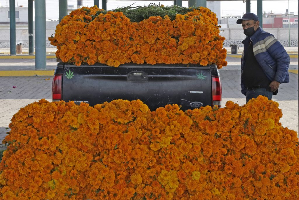 Comuna reporta exitosas ventas en Atlixco por flor de cempasúchil