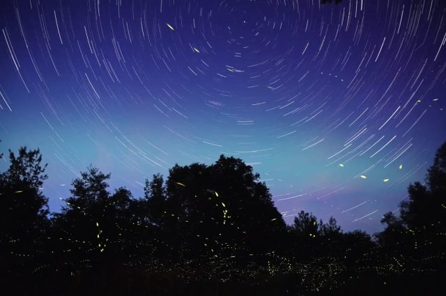 ¡Observa las últimas lluvias de estrellas del año, no puedes perdértelas!