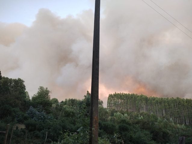 Amplían Alerta Roja para las comunas de Paillaco y Valdivia por incendio forestal