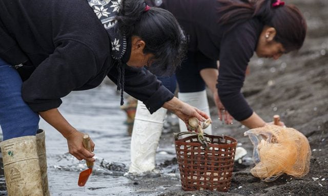 Pesca Artesanal: Dan a conocer catastro sobre la situación de las mujeres en el rubro en la Región de Valparaíso