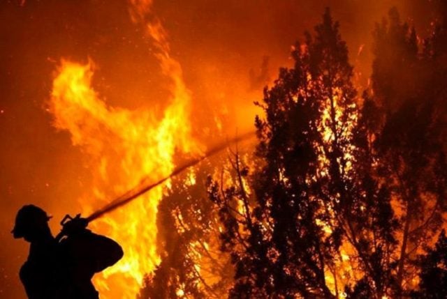 Chile arde pero no de casualidad: El agotado, peligroso y rentista modelo forestal