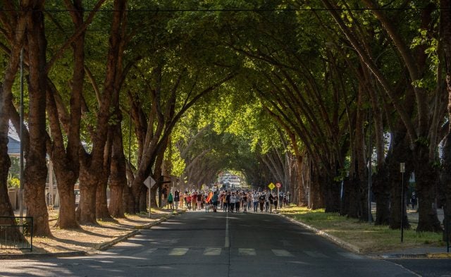 Un día clave para Limache: Consejo de Monumentos Nacionales define futuro de Av. Urmeneta