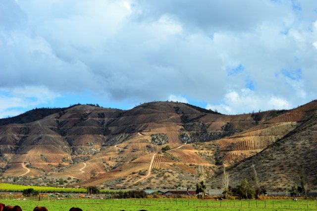 Corte de Apelaciones falla a favor de los habitantes de María Pinto y su lucha por los cerros de la comuna