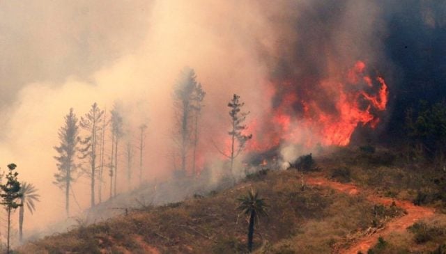 Asciende a 22 los fallecidos por los incendios forestales en el país