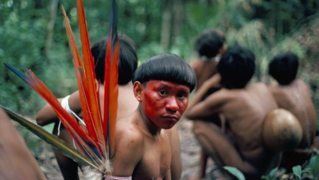 La tragedia yanomami que moviliza al Gobierno de Lula en Brasil