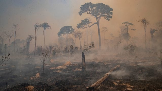 Amazonía-fondos