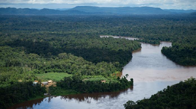 Científicos alertan sobre los daños irreversibles de la deforestación en la Amazonía