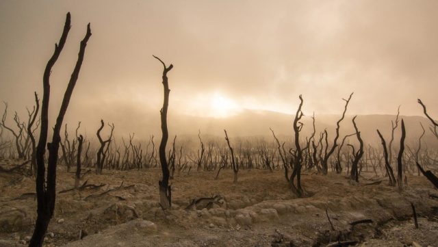 Inteligencia Artificial predice que el calentamiento global superará los 1,5 °C en la década de 2030