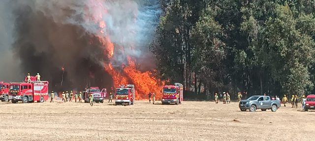 Incendio-Conagua