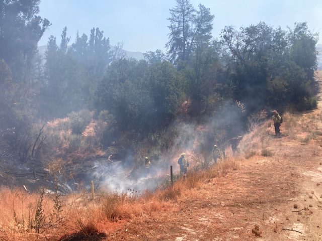 Van 44 hectáreas consumidas: declaran alerta roja para Curacaví por incendio forestal