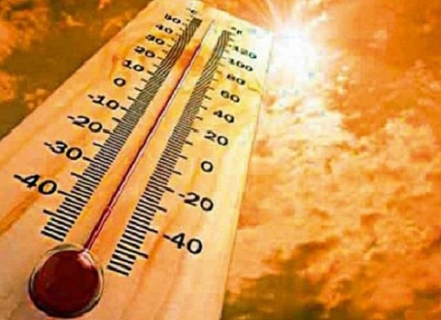 Alerta por temperaturas extremas en el centro sur de Chile y altos riesgos de incendios forestales