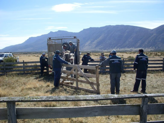 Por déficit de lluvias: Decretan emergencia agrícola en la Región de Magallanes