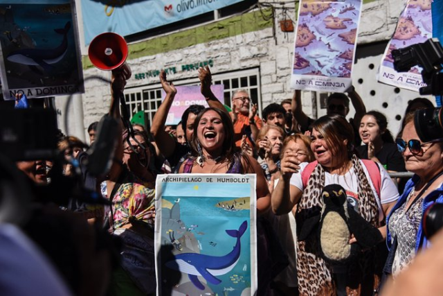 ¡Victoria ciudadana! Comunidades y organizaciones ambientales celebran portazo a Dominga: Piden aprobar área marina protegida para el Archipiélago de Humboldt