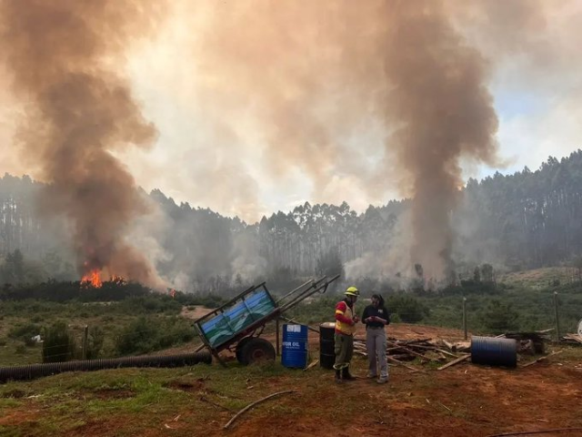 Más de 5.000 hectáreas afectadas por incendio forestal en Santa Ana (Video)