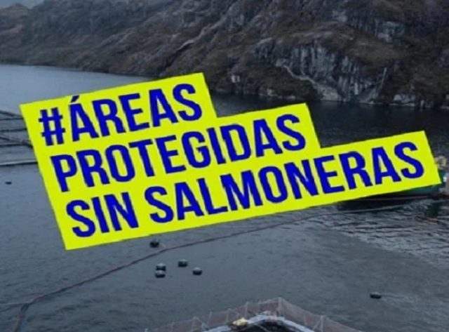 Esperan que Cámara subsane en votación falencias de la ley SBAP-Servicio de Biodiversidad y Áreas Protegidas