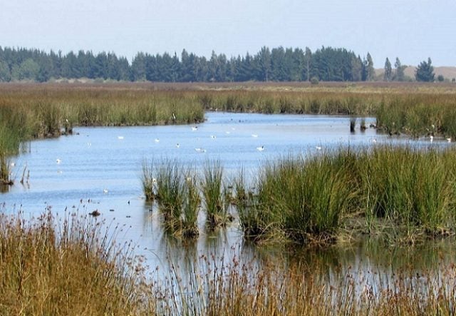 Inician estudio de proyecto sobre protección de humedales rurales