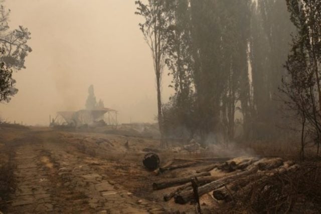 México envía brigadistas a Chile para apoyar en extinción de incendios forestales