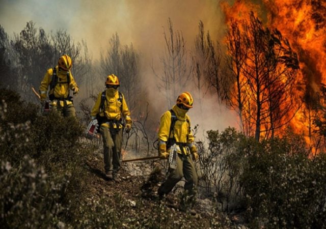 Día Nacional del Brigadista Forestal: ¿Cuándo se garantizarán sus derechos laborales y mejorarán condiciones?