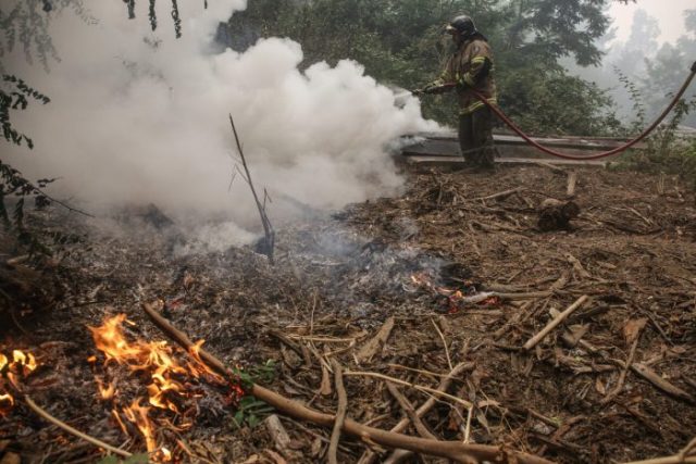 Gobierno declara alerta roja en las comunas de Valdivia y Corral por incendios forestales