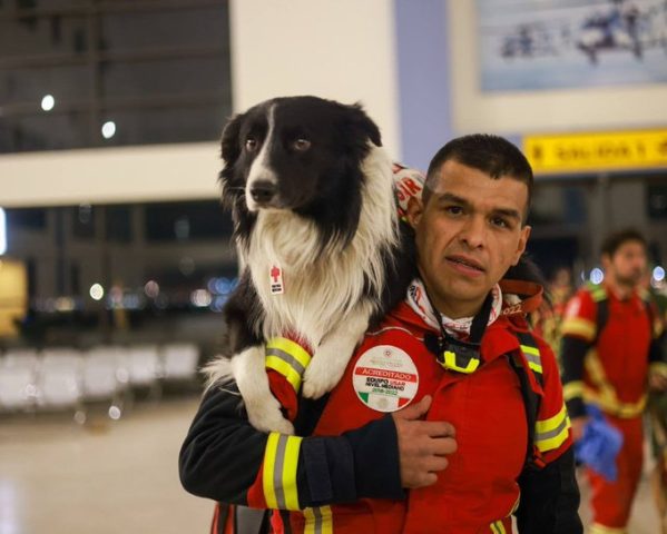 Rescatistas mexicanos junto con binomios caninos viajan a Turquía