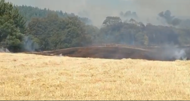 Ante avance de incendio forestal solicitan evacuar sectores de Lautaro en La Araucanía